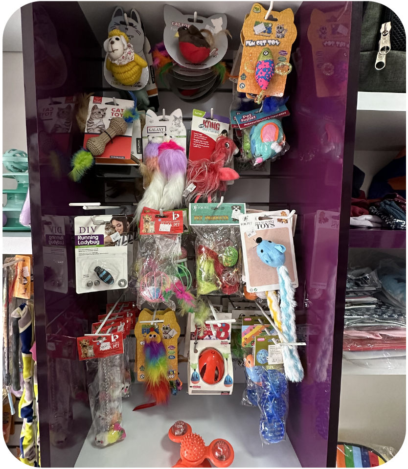 carrusel web Cats lovers-17